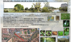 4ª Ruta Botánica Ambiental