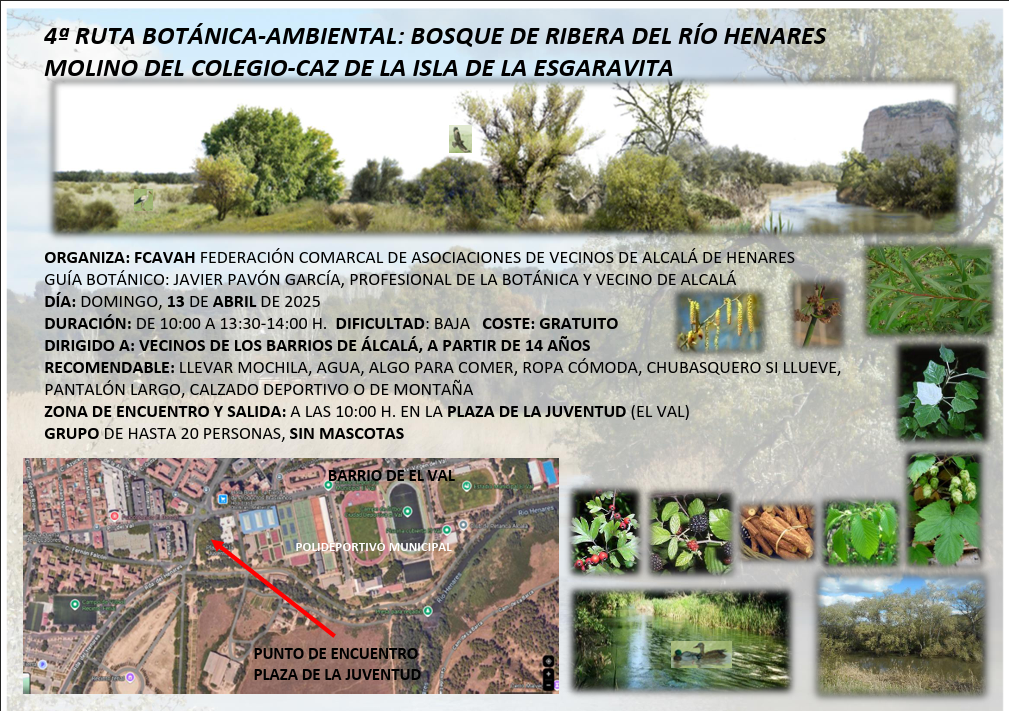 Ruta Molino del Colegio - Isla de la Esgaravita