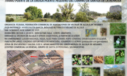 5ª Ruta botánica ambiental
