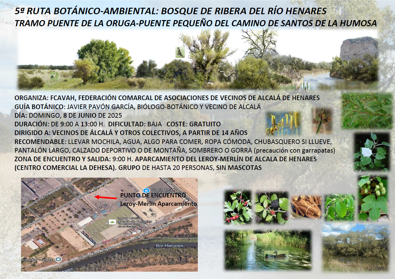 Cartel ruta botánica Puente de la Oruga - Puente camino Los Santos de la Humosa